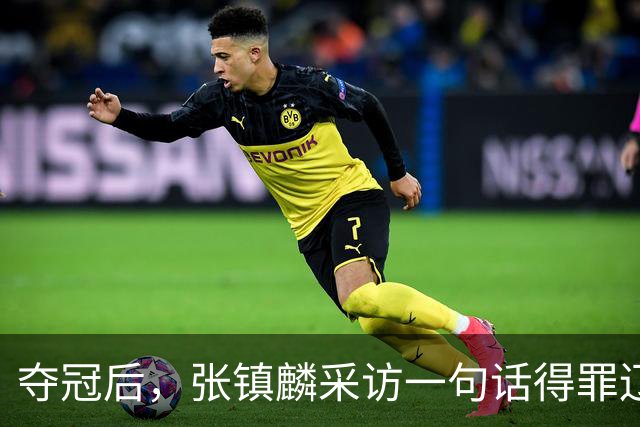 夺冠后，张镇麟采访一句话得罪辽宁，辽蜜：有本事到四川证明价值