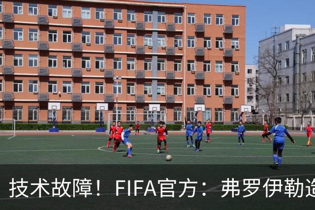 技术故障！FIFA官方：弗罗伊勒造点没有越位 瑞士进球无异议